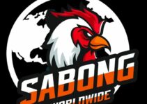 How to play online cockfighting – Sabong in 2023